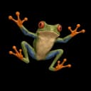 tree frog